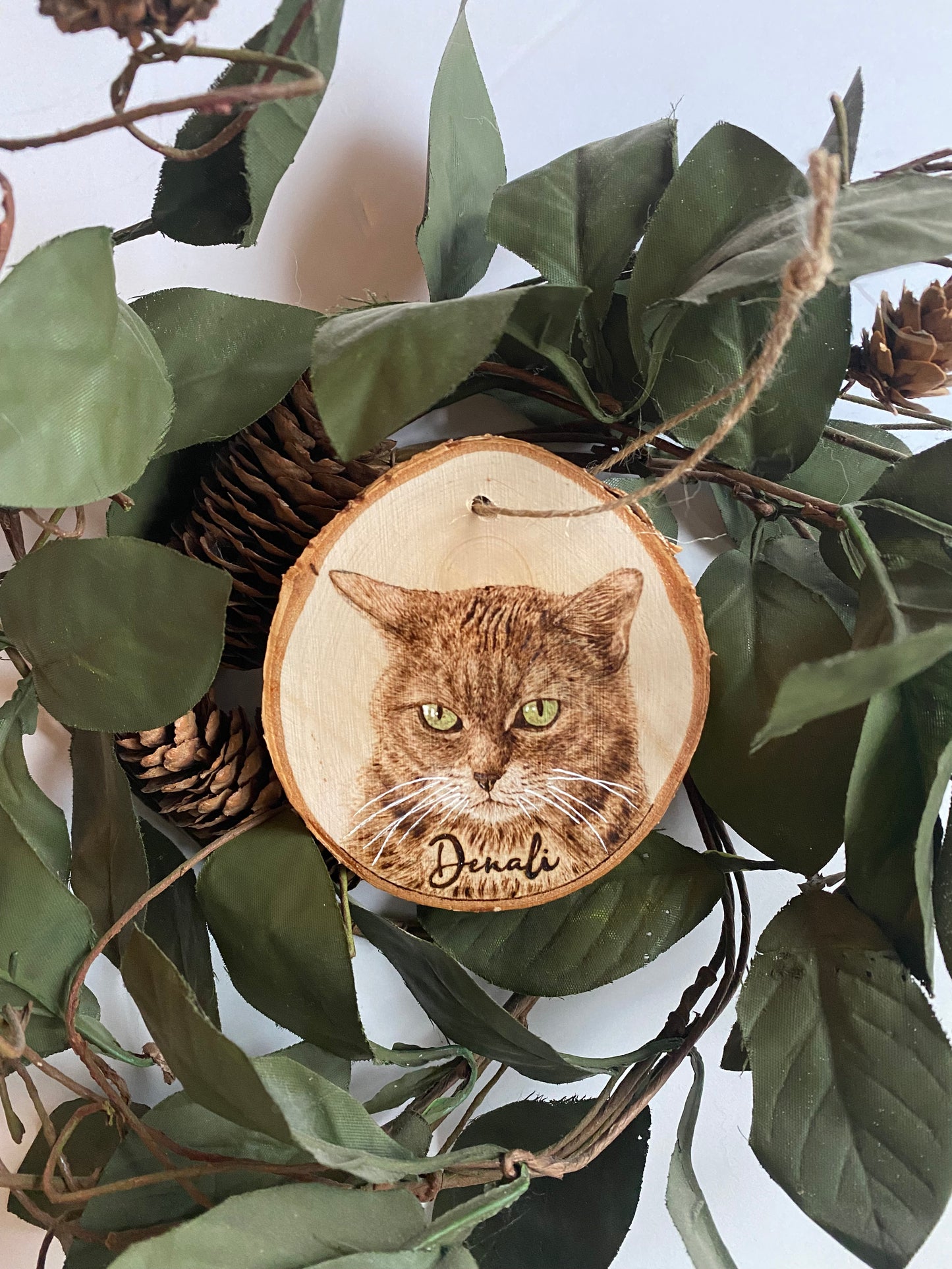 Custom Pet Ornaments