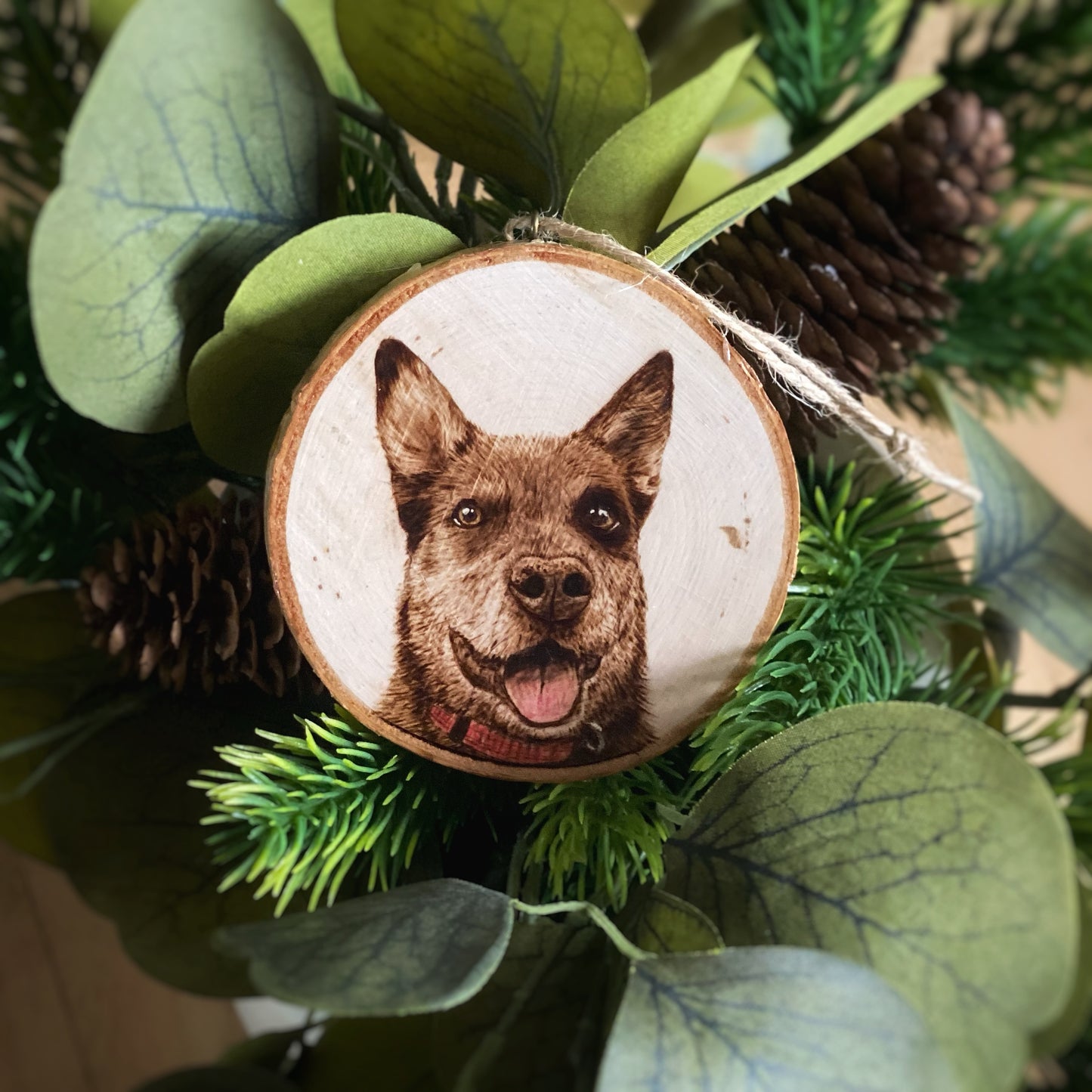Custom Pet Ornaments