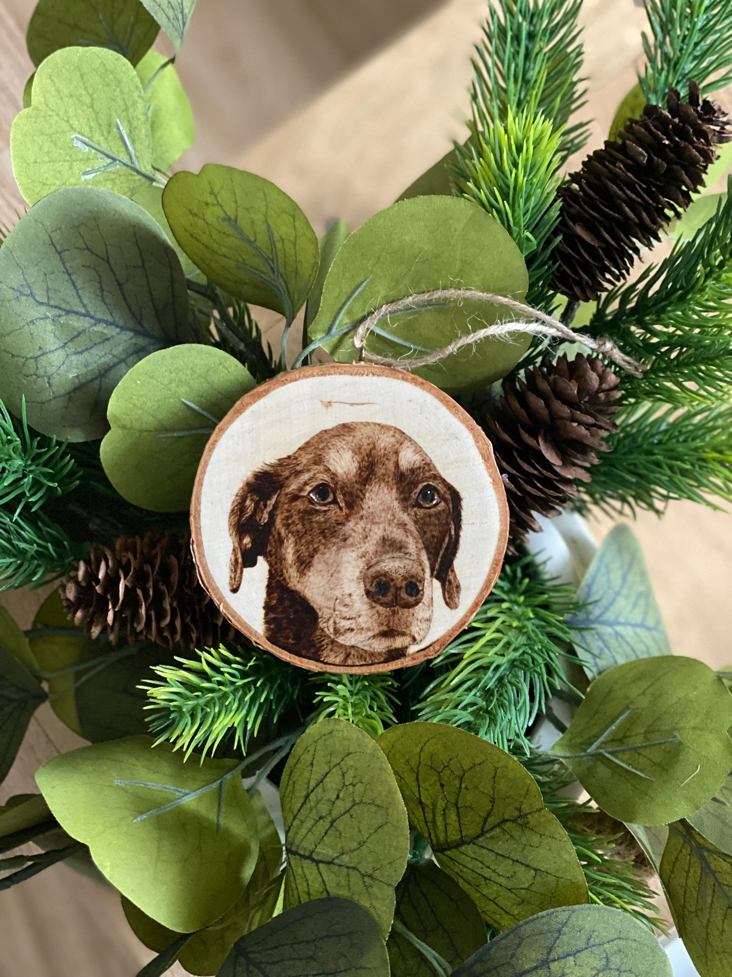 Custom Pet Ornaments